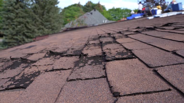 Best Roof Coating and Sealing  in Elberta, AL