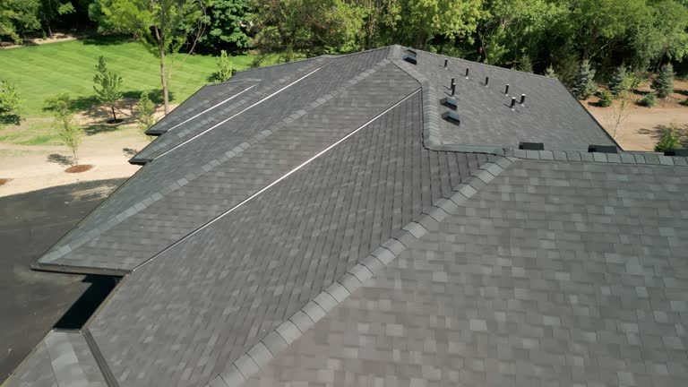 Best Roof Moss and Algae Removal  in Elberta, AL