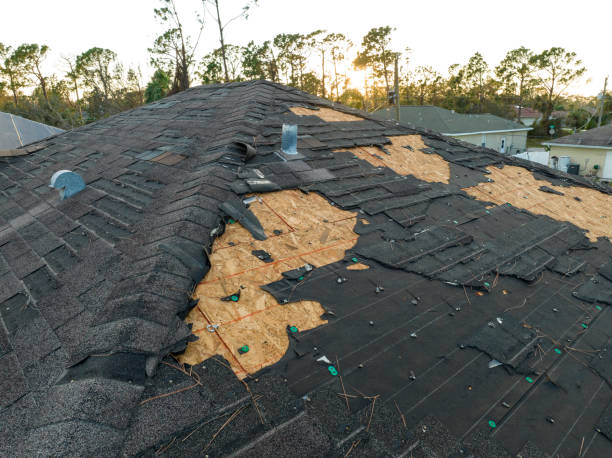 Best Roofing for New Construction  in Elberta, AL