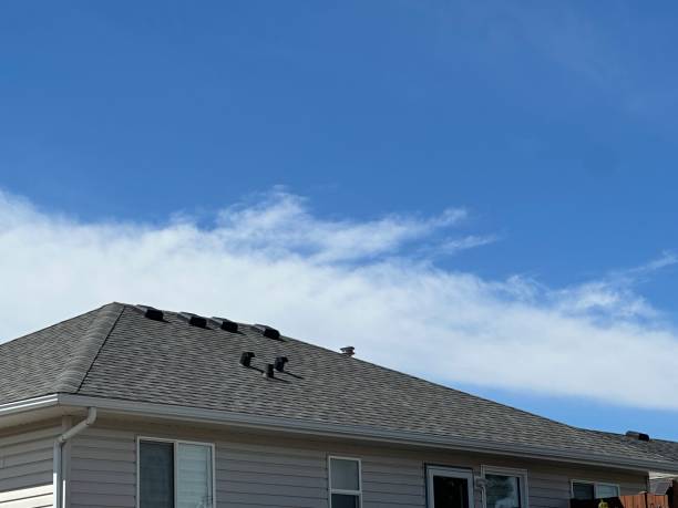 Best Metal Roofing Installation  in Elberta, AL