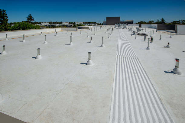 Best Roof Insulation Installation  in Elberta, AL
